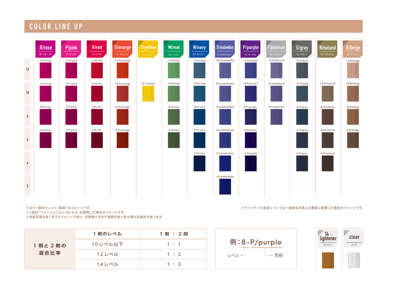 チャート フュージョニスト 21年6月発売新色入 株式会社九美堂